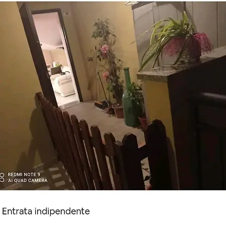 Loft A 200 Metri Dal Mare,immerso Nel Verde.